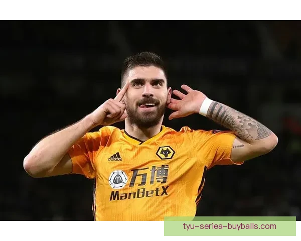 狼队主帅部署夏季领袖计划全面